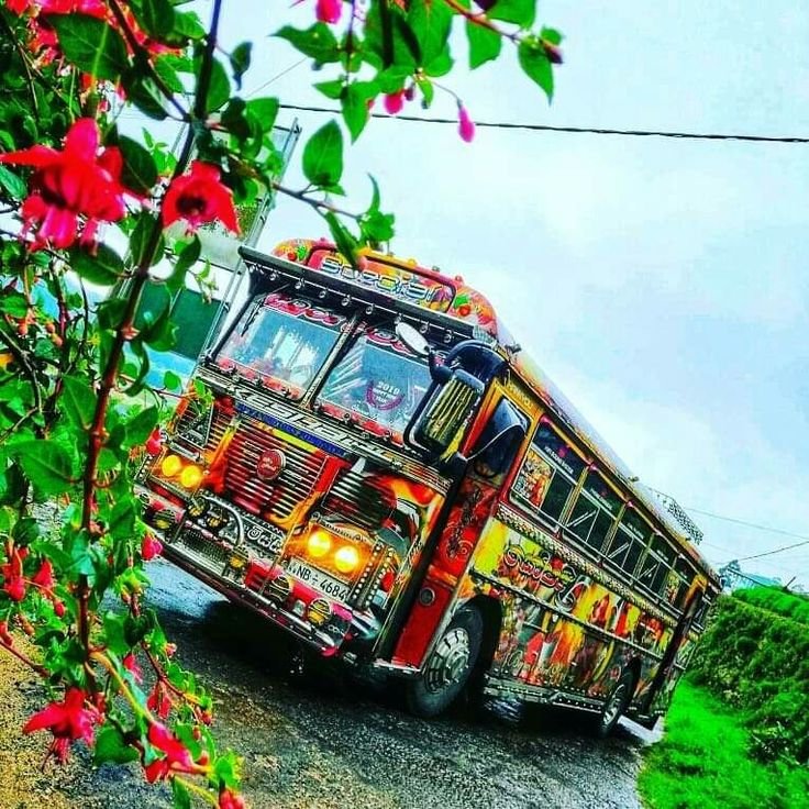 Bus for sale 1